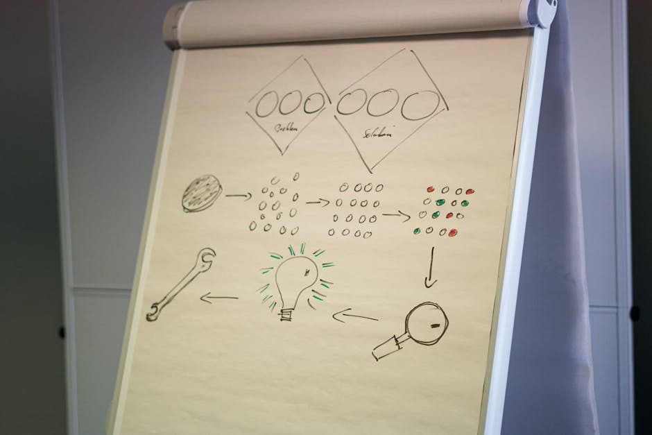 Analytics, Tracking & Audits